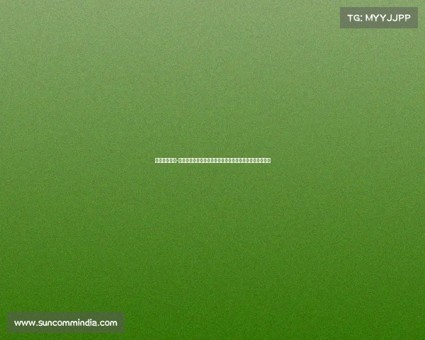 乒乓比赛成绩-在激烈竞争的乒乓球赛场上运动员们创造佳绩展现卓越技艺